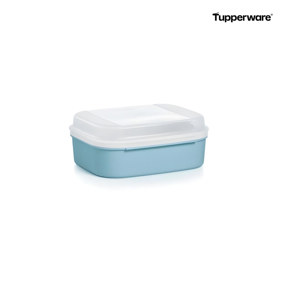 kann man plätzchen in tupperdosen aufbewahren Naschkätzchen 1,4 Liter blau Snackbox mit Klappdeckel