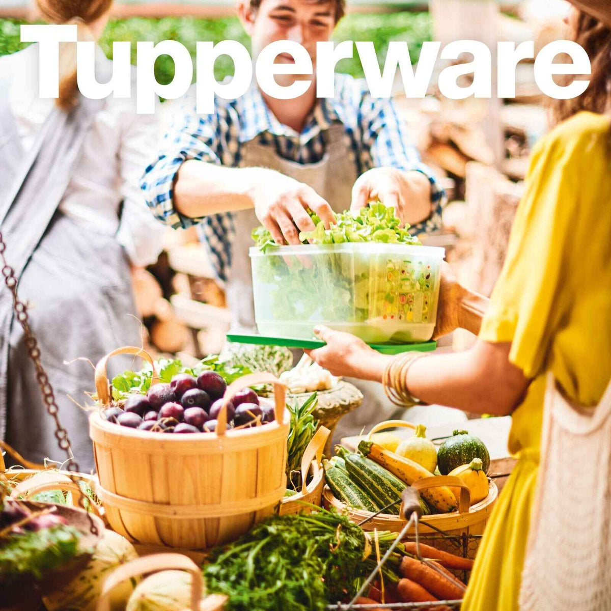 tupperware gemüse aufbewahrung KlimaOase 4,4 l: Großer Frischhaltebehälter für Obst & Gemüse