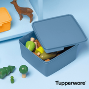 Basic Line 2,5 Liter Tupperware