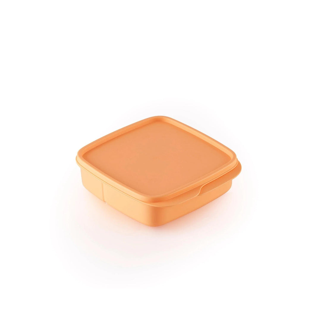 Clevere Pause lachs Tupperware