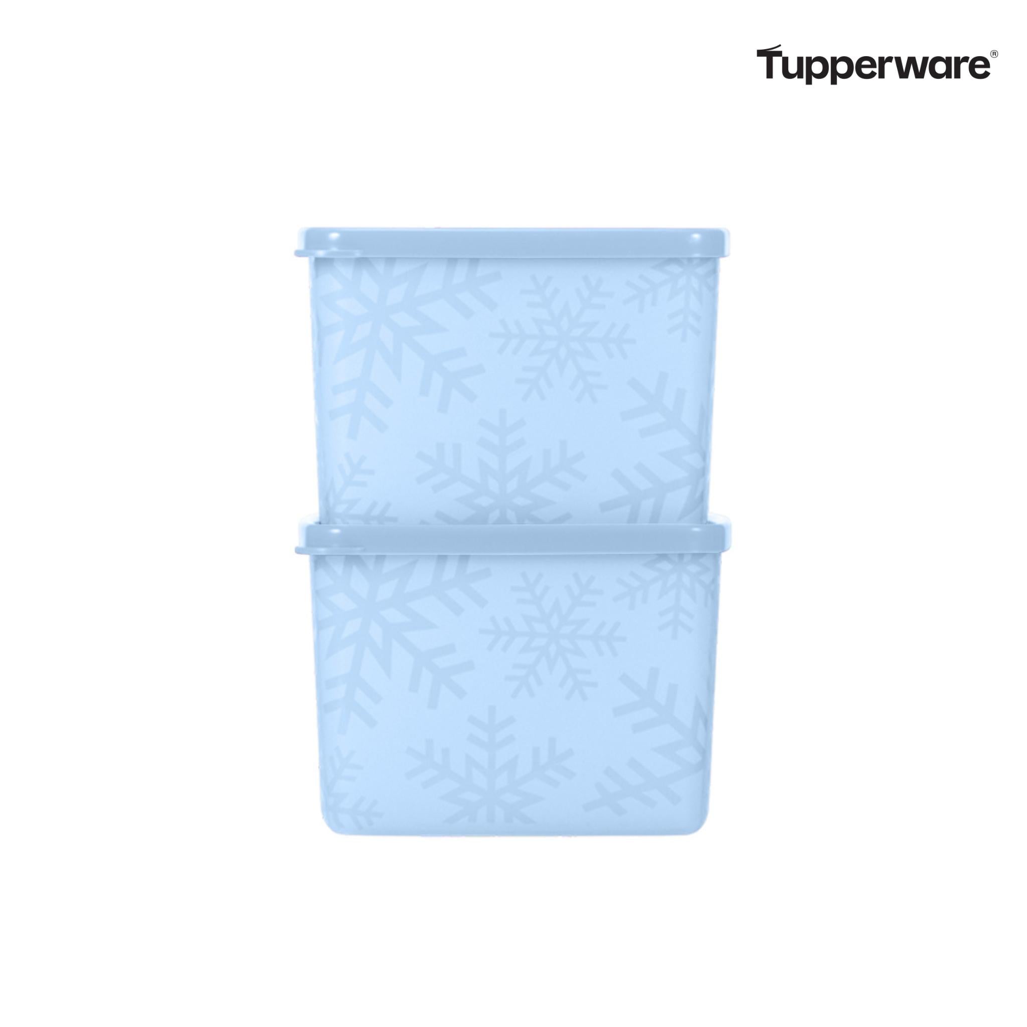 Gefrier-Behälter 800 ml 2er Set stapelbar