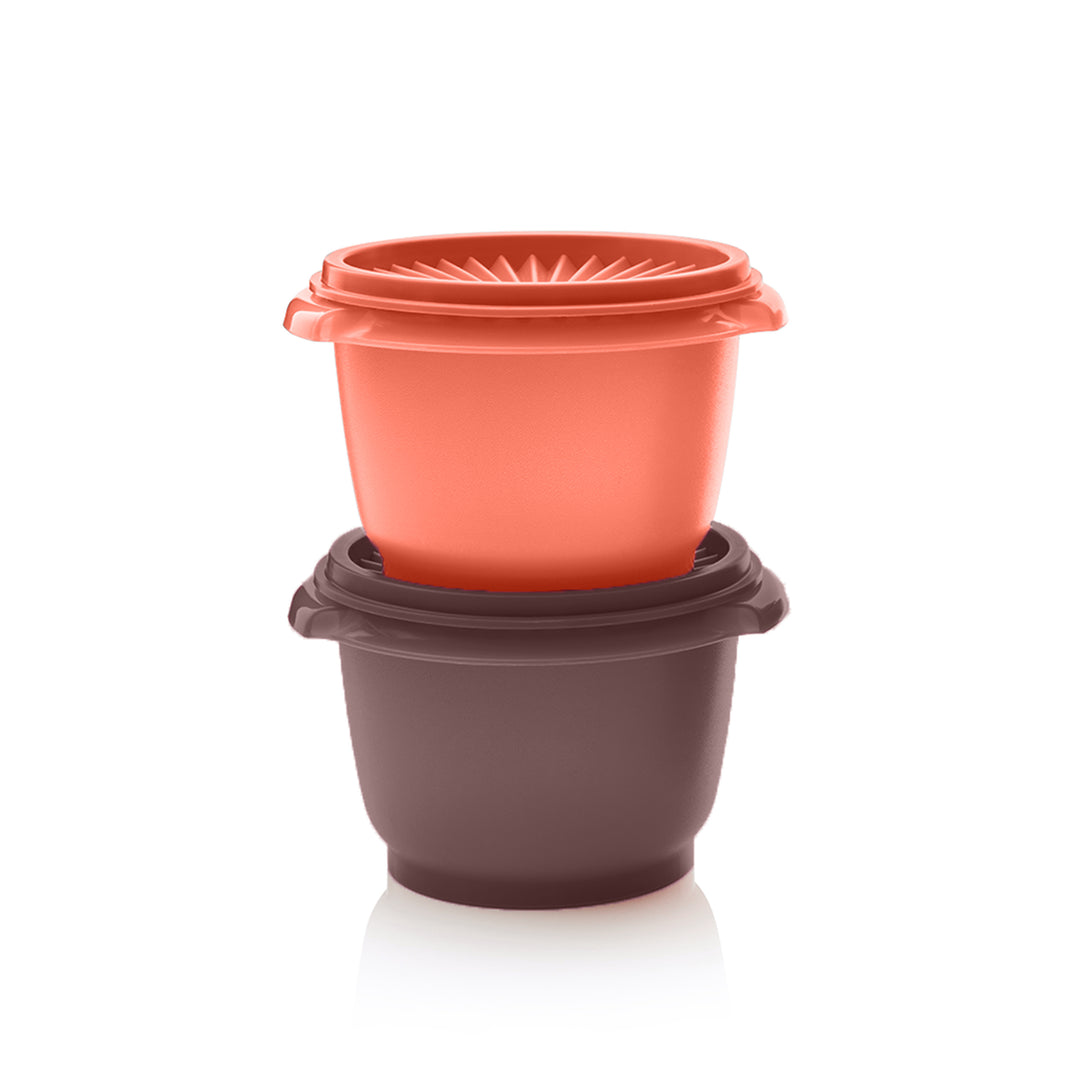Kleines Sonnenschüssel-Duo 600 ml Tupperware