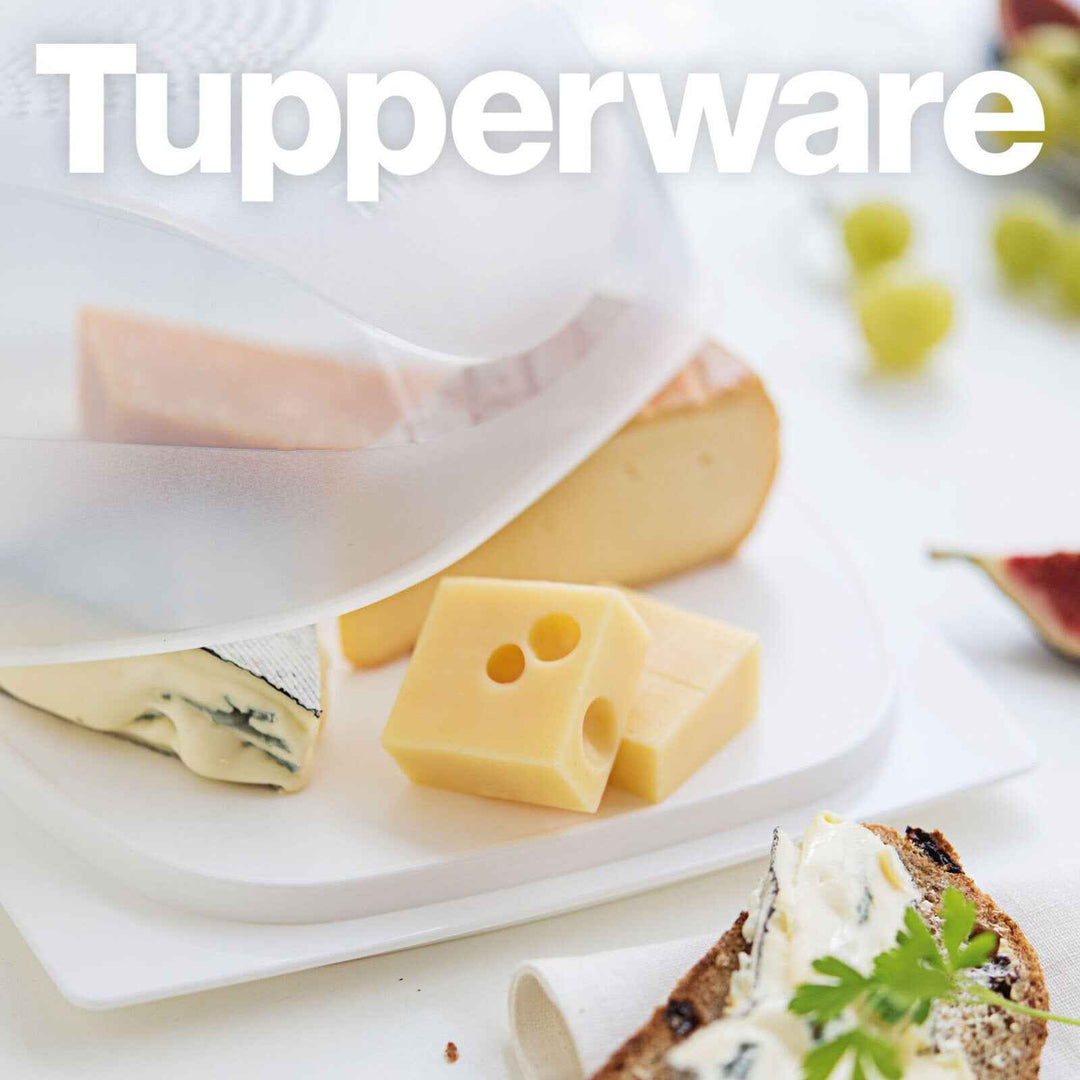 käse aufbewahrung tupper Junior-KäseMaX - Frischhaltebehälter für 1-2 Käsesorten