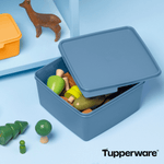 Bild in den Galerie-Viewer laden, Basic Line 2,5 Liter - Tupperland.de - Tupperware
