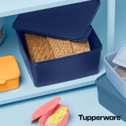 Basic Line 5 Liter - Tupperland.de - Tupperware